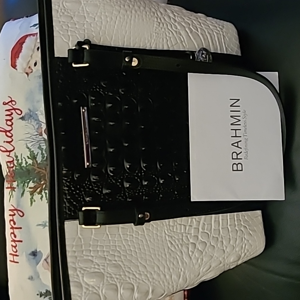 Brahmin satchel